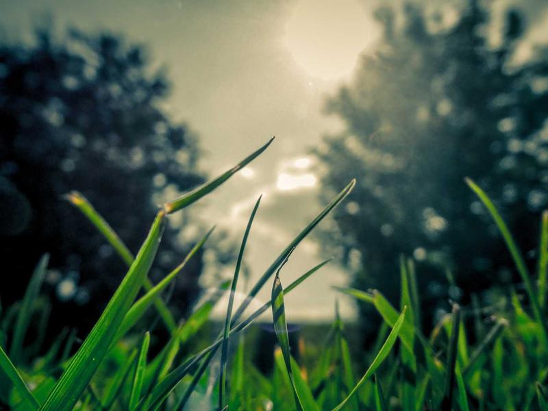 丢失模式关闭<br>找回设备后解除锁定教程